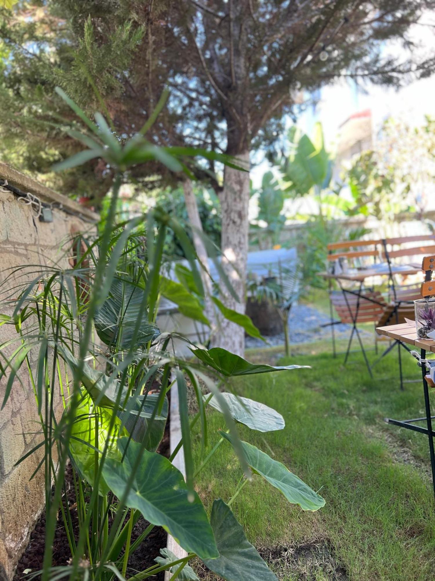 Luna Alaçatı Luaran gambar
